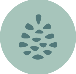 Koselig Coaching Conseil